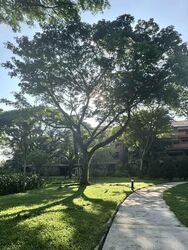 Loyang Valley (D17), Condominium #599800661